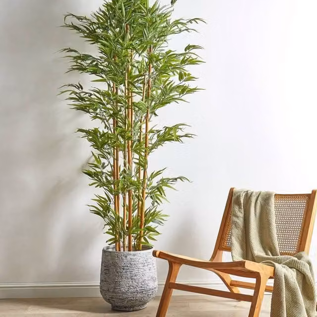 Wyld and Coco Lifelike Bamboo Tree, Green and Black, Height: 220 cm – 1