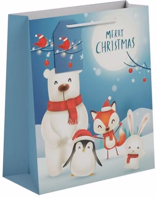 Kingsbury Gifts Medium Paper Christmas Gift Bags in Red, Blue and Multicolour