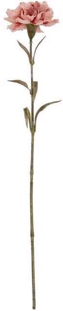 Lemon Pavilion Pink Carnation Artificial Flower Stem in Light Pink, W: 10 cm, D: 11 cm, H: 56 cm