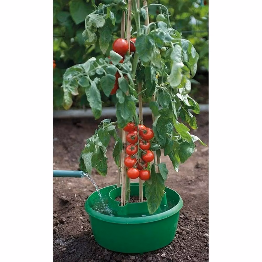 Spetlek Green Plant Watering Pot for Vegetable Gardens, 3 x 100g – 5