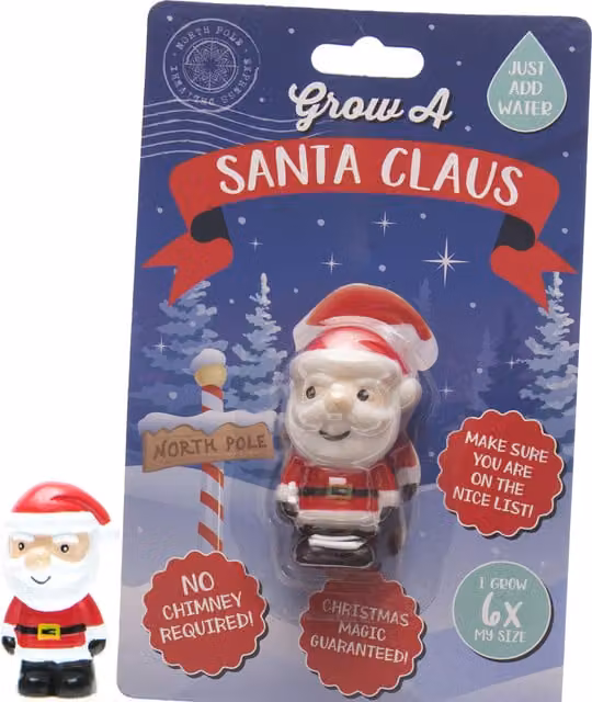 Boxer Gifts Grow A Santa Claus Kit in Red and Multicolour
