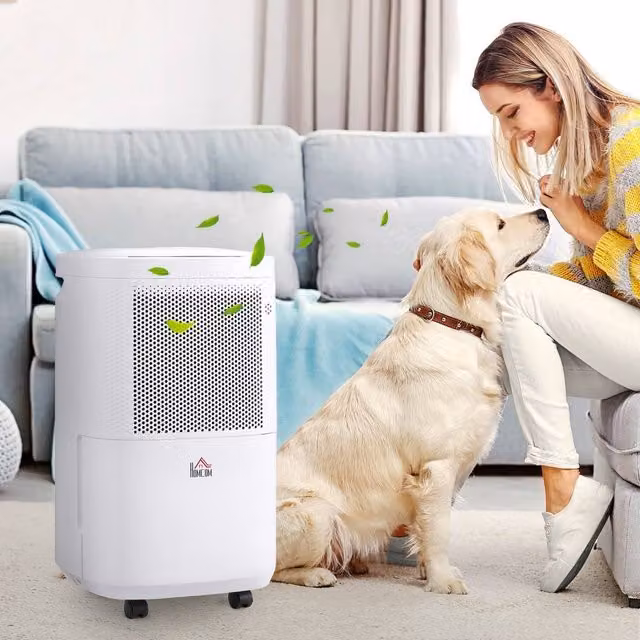 HOMCOM Portable Dehumidifier with WiFi Smart App Control, 10L Capacity, 2.2L Tank, White and Black