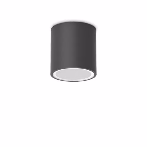 Netlighting Techo Black Outdoor Surface Mounted Downlight IP54