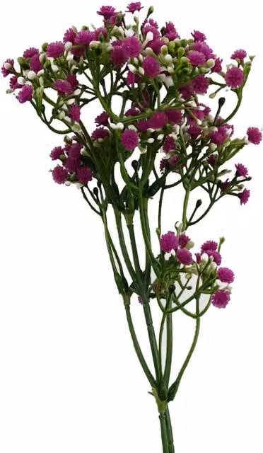 Pink Gypsophila Artificial Floral Stem with Leaves