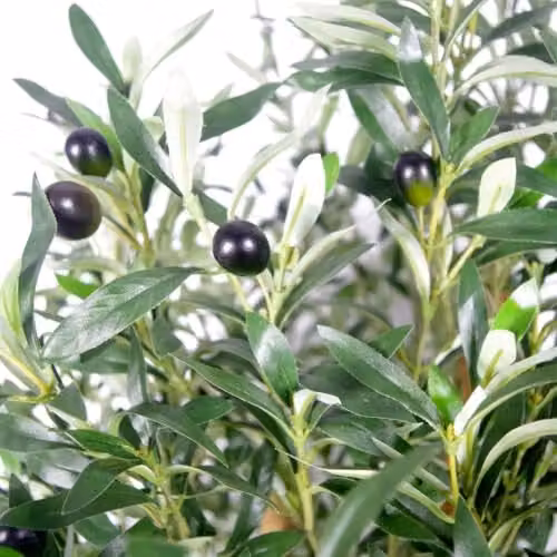 Leaf Design UK Realistic Artificial Olive Tree in Green with Black Plastic Pot, Height: 125 cm – 4