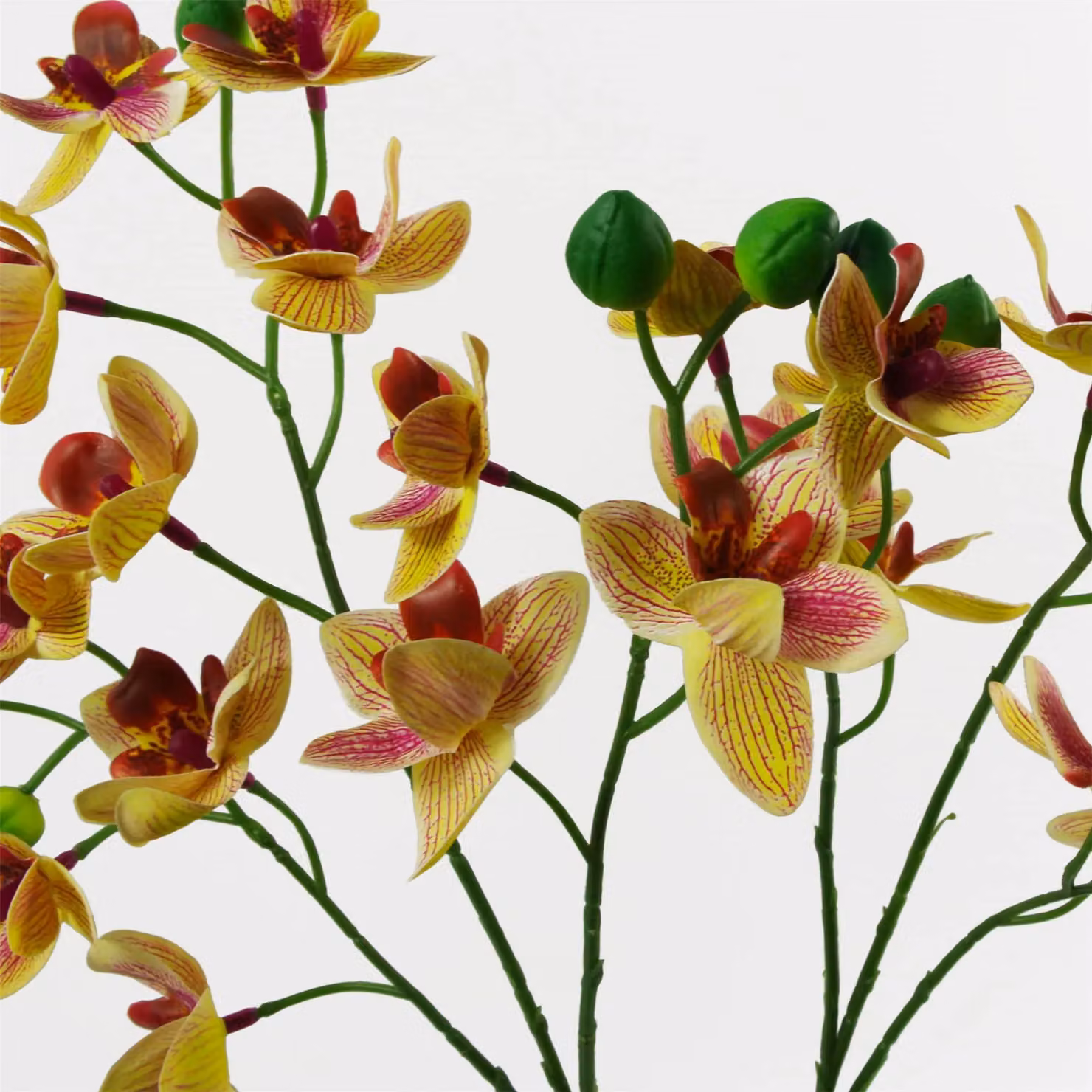 Leaf Design UK Realistic Artificial Pink and Yellow Orchid in White Ceramic Planter, Height: 43 cm – 3