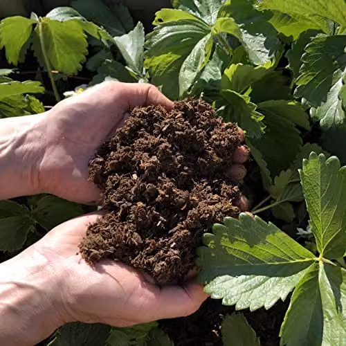 Natural Grower Organic Plant Feed and Soil Improver, 50 l – 2