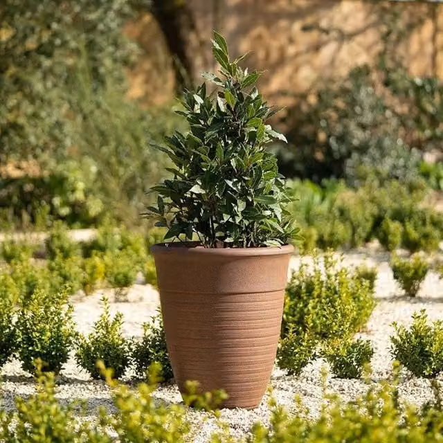 Primrose Tall Round Planter Tub in Brown, Height: 48.5 cm
