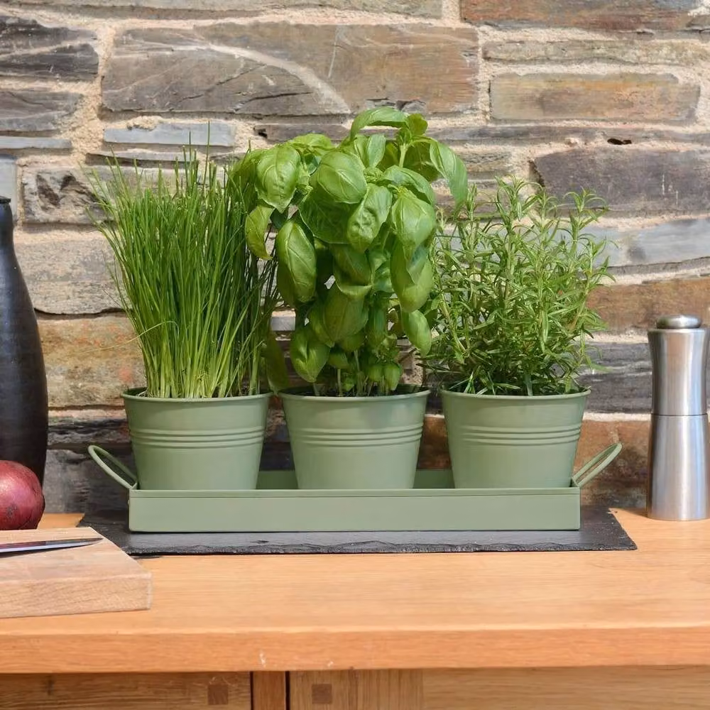 Kelvenix Green Steel Indoor Herb Planter Tray for Kitchen Windowsills – 4
