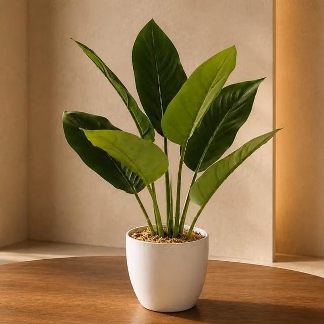 Leaf UK Green Aureum Artificial Plant, Height: 45 cm – 1