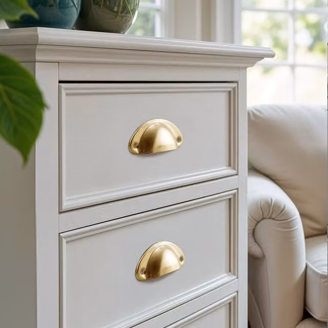 Pack of 2 Darphe Polished Brass Shell Cup Furniture Handles in Gold