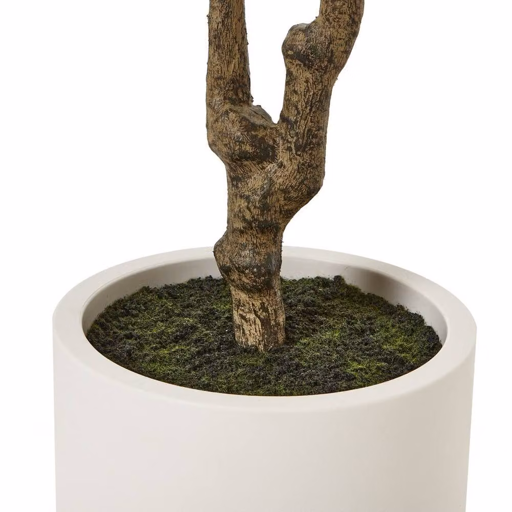 Lemon Pavilion Apulia Mediterranean Olive Tree in Pot, Height: 210 cm, Green/Brown/White – 4
