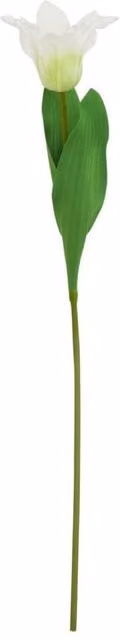 KDMD White Parrot Tulip Stem for Modern Floral Decor