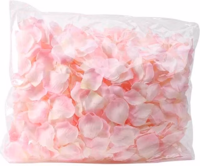 KDMD Champagne Pink Rose Petal Confetti, 1000 Pack
