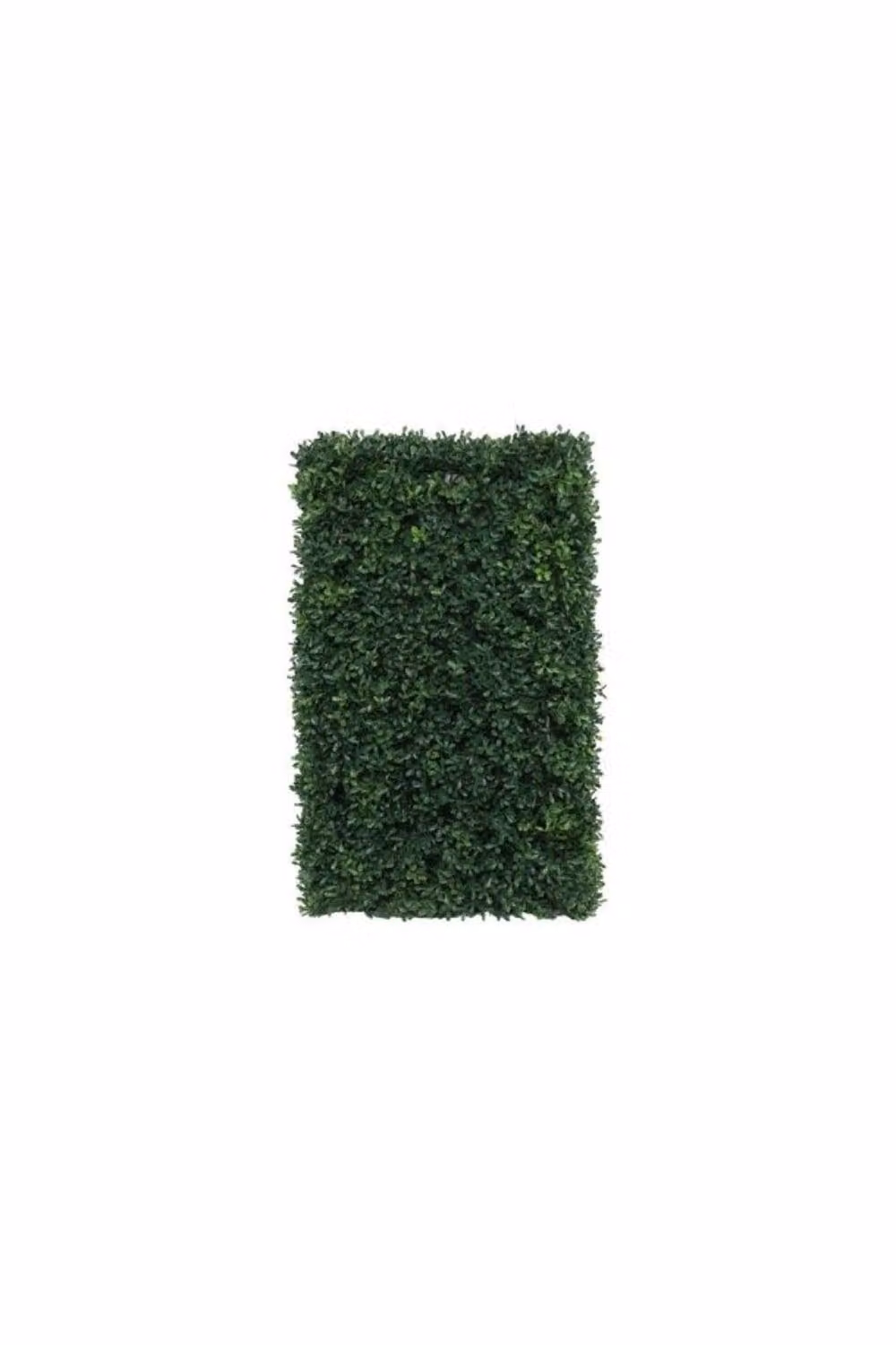 KDMD UV Botanica Green Hedge, W: 38 cm, H: 18 cm – 2