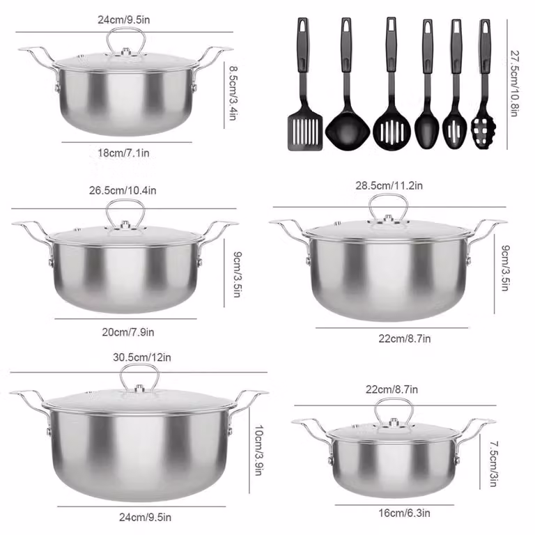 FORGEVIO Stainless Steel Uncoated Cooking Pot with Lid in Silver