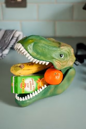 Suck UK Dinosaur Lunch Box in Green and Black – 3