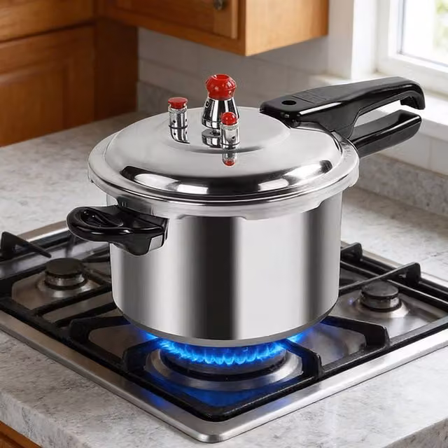 Ventryn 9 l Aluminium Pressure Cooker in Metallic Silver – 1