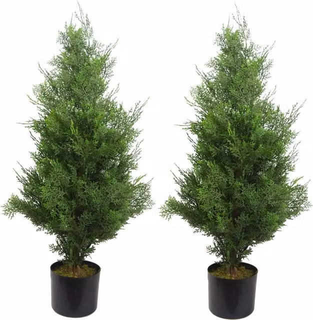 Pair of Green Artificial Cypress Topiary Trees with Wood and Plastic Leaf Details, Height: 55 cm