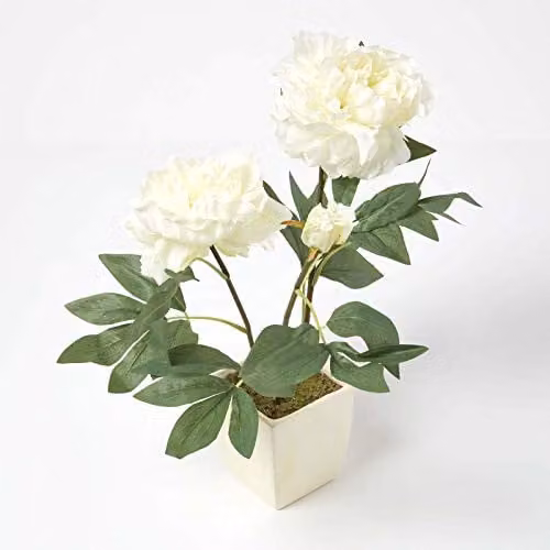 Homescapes Artificial Peonies in a Cream Ceramic Pot, Height: 48 cm