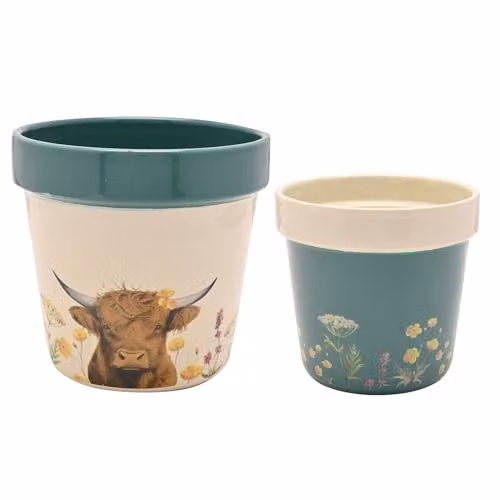 Widdop and Co Country Living Set of 2 Ceramic Floral Planters in Blue and Multicolour, Round Tabletop Flower Pots