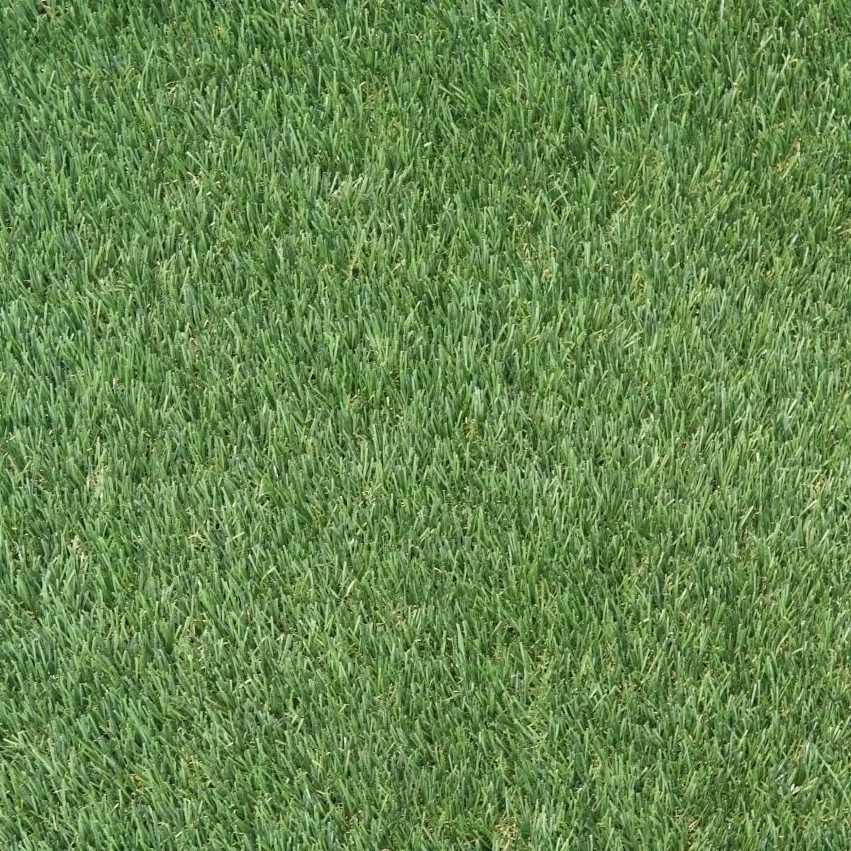 Artificial Grass GB Luxury Green 40mm Artificial Grass, W: 400 cm, D: 300 cm – 4