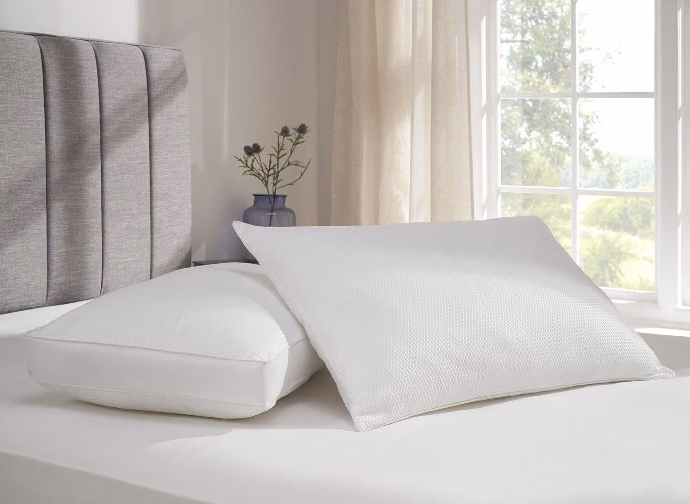 Dreams Perfect Pillow Pair for Adults in White