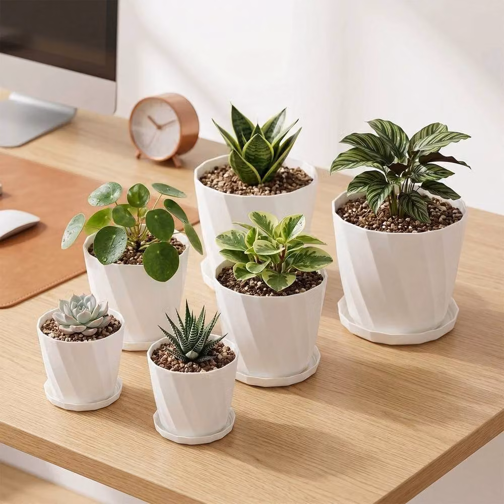 SPETLEK Set of 6 Thickened Resin Flowerpots in White – 2