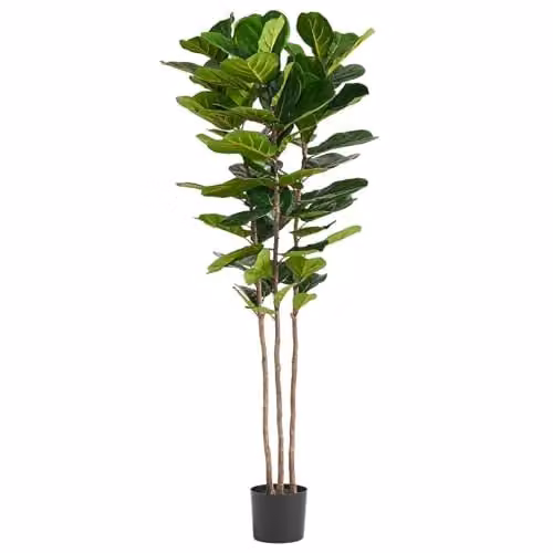 Botanik UK Premium 180 cm Artificial Fiddle Fig Tree in Green with Black Plastic Pot