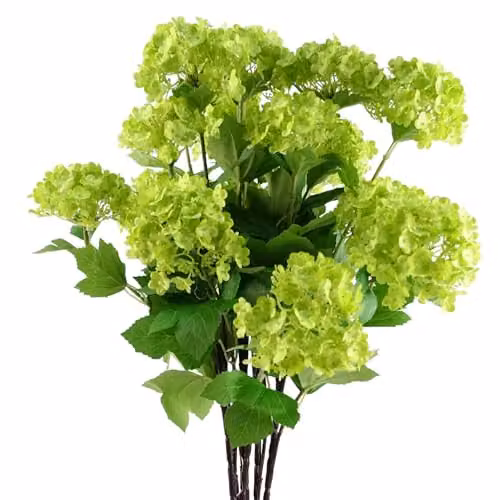 Pegdev Pack of 6 Green Artificial Viburnum Sprays, 70 cm Length for Floral Decorations and Wedding Crafts