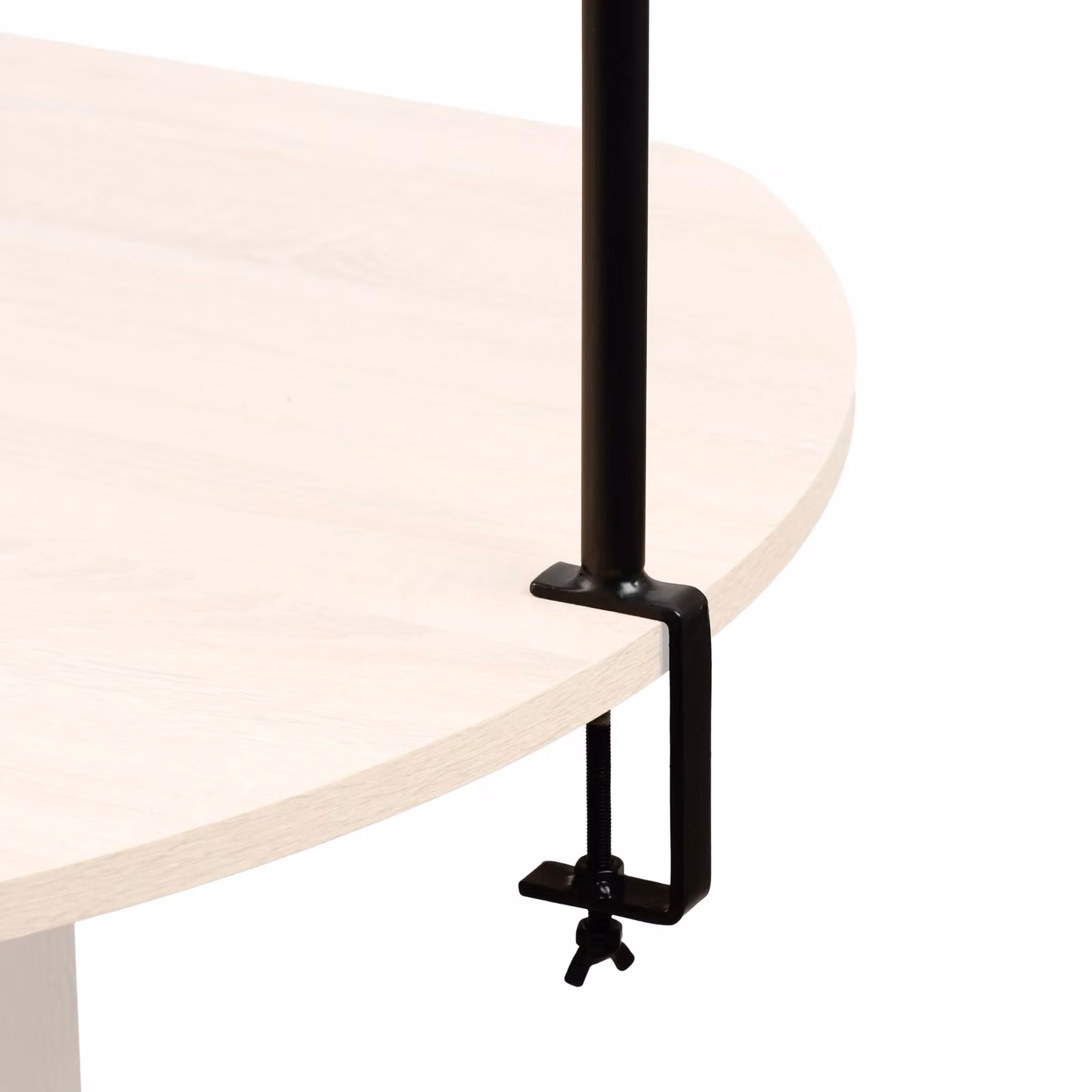 Scottish Everlastings Ltd Black Metal Tabletop Display Frame – 2