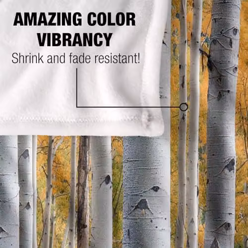 JQ Licensing James Piazza Birch Trees Silky Touch Super Soft Fleece Throw Blanket, Multicolour, W: 91 cm, D: 147 cm – 3