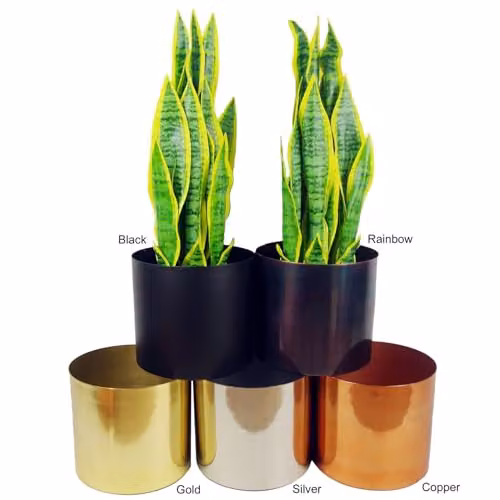 LeafUK Leaf Metal Tabletop Planter in Gold or Black, W/D/H: 18.0 x 18.0 x 2.0 cm – 3
