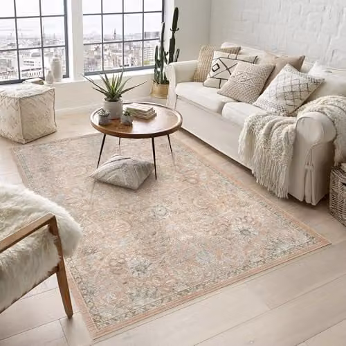 Desire Rugs Maia Floral Traditional Area Rug, Coral, W: 160 cm, L: 240 cm