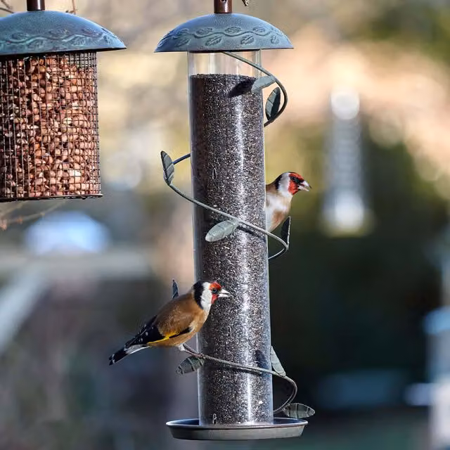 Peckish Secret Garden Spiral Finch Feeder in Brown and Grey Metal