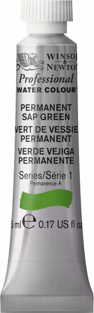 Winsor and Newton Professional Watercolour Paint, Permanent Sap Green, 5ml