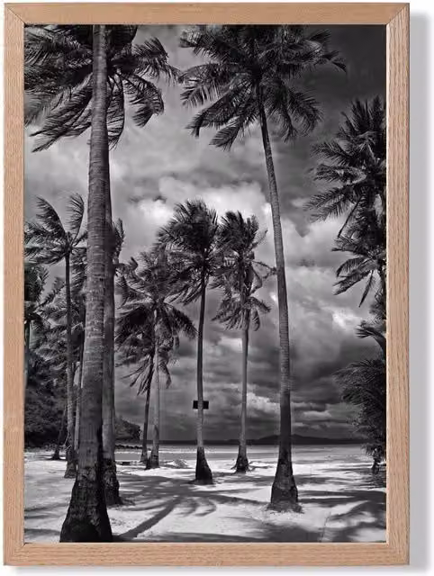 ARTZE Stormy Palm Trees Black and White Framed Photograph Print with Oak Wood Frame, A4