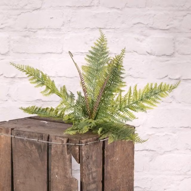 KDMD 3 Pack Plastic Potted Boston Fern Bush in Green