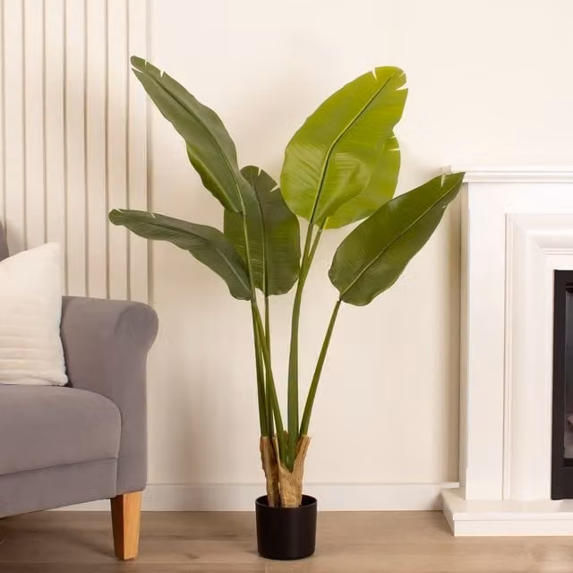 Scottish Everlastings Ltd Real Touch Banana Tree, Green, Height: 120 cm