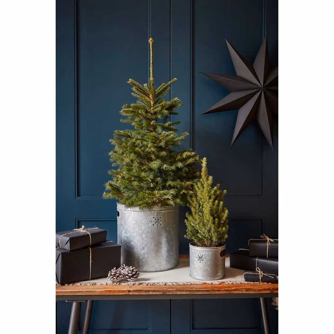 Ivyline Star Indoor Planter in Grey Galvanised Steel, H 28 cm x W 28 cm – 3