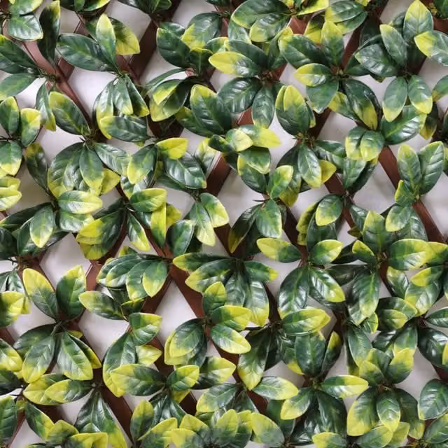 Samuel Alexander Green Gardenia Leaf Artificial Hedge Privacy Screen, W/H: 200 x 100 cm