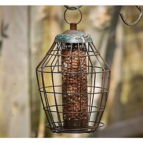 Peckish Secret Garden Squirrel Proof Peanut Bird Feeder, Dark Green, H 28 x W 16 x D 19 cm – 3