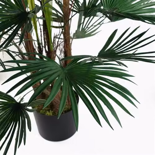 Botanik Green Artificial Palm Tree, H 120 x W 70 x D 70 cm – 3