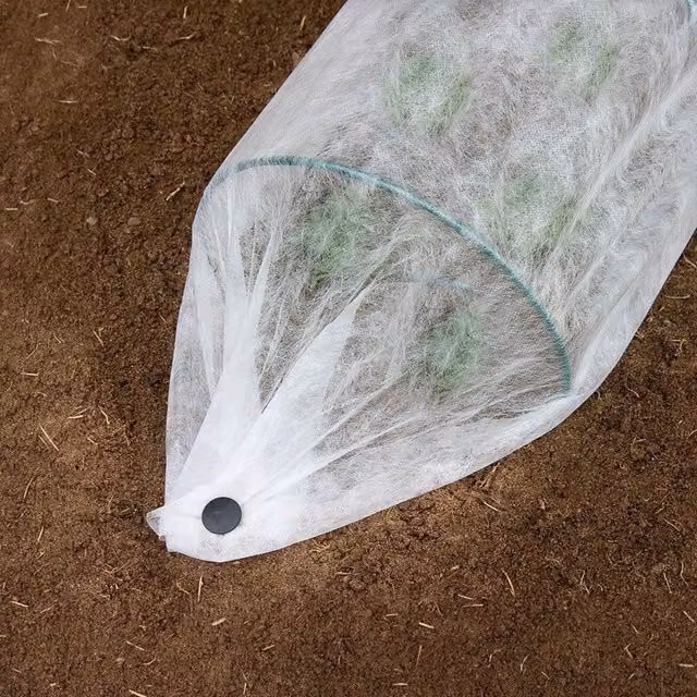 Primrose White Garden Tree Protective Fleece, W: 1.6 m, L: 10 m