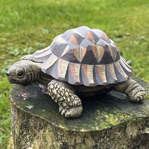 Animal Crackers Realistic Tortoise Figurine in Grey-green and Brown, Resin Tabletop Decoration, W/D/H: 13.0 x 9.0 x 13.0 cm – 1