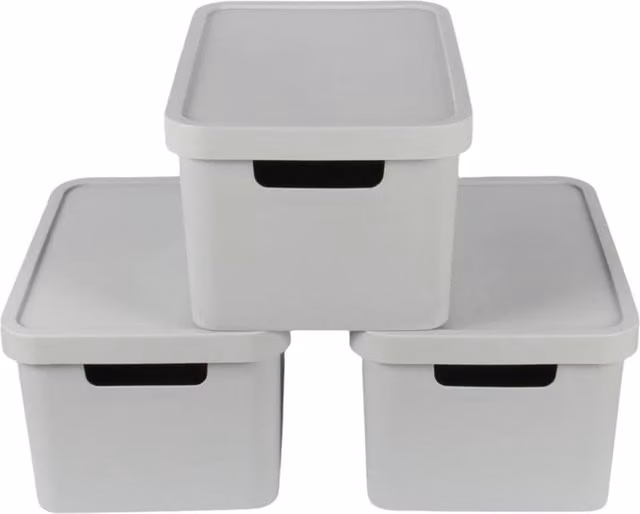 PAWNORA 31L Plastic Storage Box with Lid, Grey