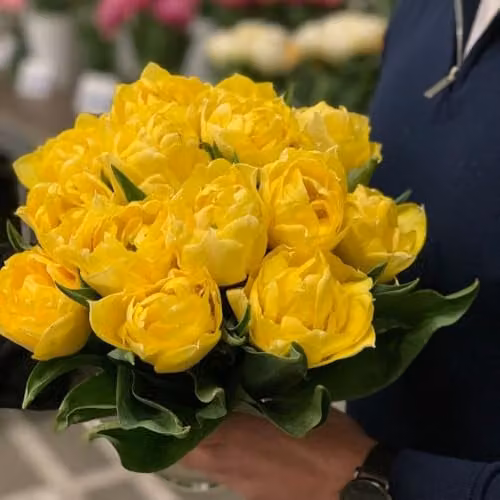 T&M Yellow Scented Double Tulip Secret Perfume Bulbs, 16 Bulbs – 3