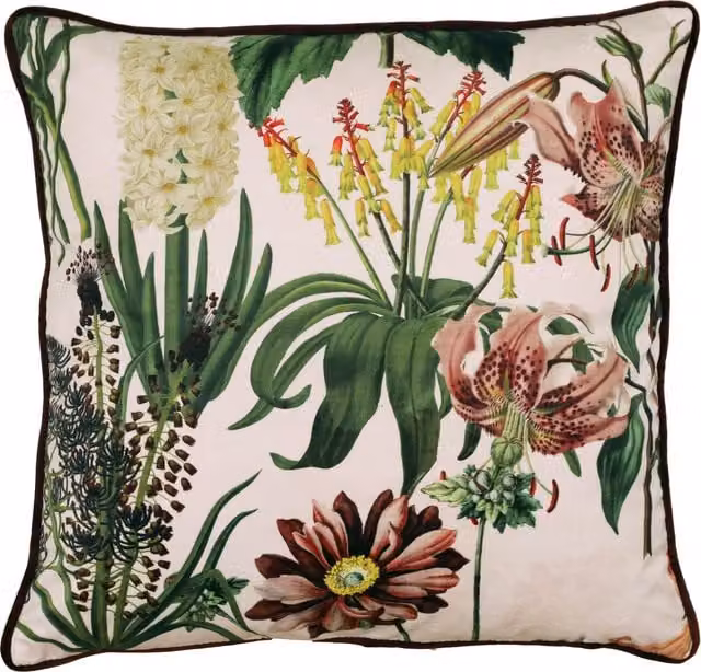 Linda Barker Grandi Floral Velvet Filled Cushion, Champagne/Gold/Cream, W x D: 45 x 45 cm