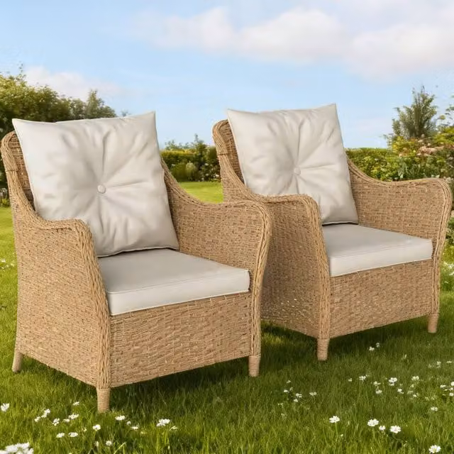 ERGOVEXA Set of 2 Beige Rattan Garden Chairs with Armrests