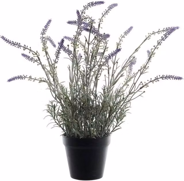 KDMD Potted Artificial Lavender in Purple and Green, Height: 51 cm
